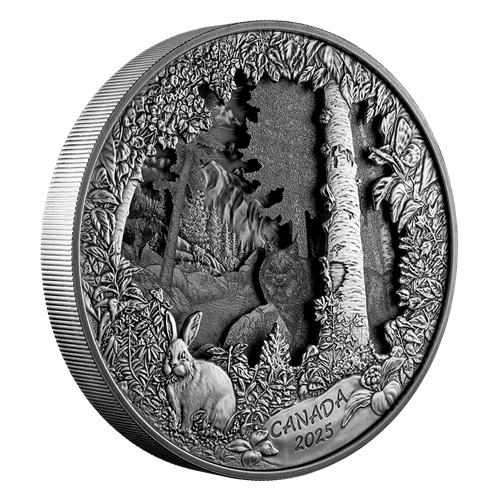 Kilo 2025 Predator or Prey in Shadow Box – Fine Silver Coin