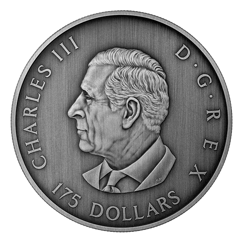 Kilo 2025 Predator or Prey in Shadow Box – Fine Silver Coin