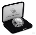 Platinum American Eagle Proof 1-oz